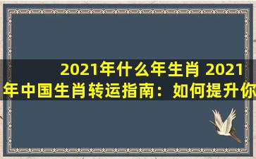 2021年什么年生肖 2021年中国生肖转运指南：如何提升你的运势？